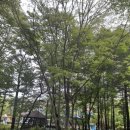 불정어린이공원 이미지