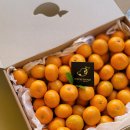 온주농장 이미지