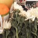 커피&과일친구