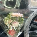 케이나인(K9)호텔 | 블로그를 써야하는데