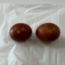 예신다이어트제주점 | Diet: 27년 예신 감비환 다이어트 11일차 (-2.7kg)솔직후기