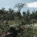 선흘하우스 이미지