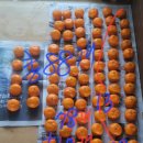 훈이네 농장 이미지