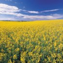 (주)대한정보 이미지