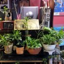 테마 노래방 이미지