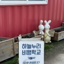 드림자동차정비전문점365 | 서울 근교 액티비티 화성 하늘누리 경비행기 조종 체험 후기