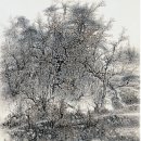 산수싸리 이미지