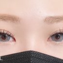 D엘 래쉬 네이버블로그