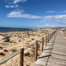 2달간 유럽여행과 1,100KM산티아고 길을 걷다