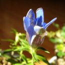 머믄자리 이미지