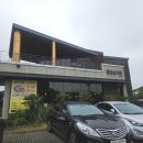 황금초밥 | 제주 '황금손가락 노형점' - 든든한 황금초밥세트 도민맛집 내돈내산 후기(+ 근처 카페 미스틱3도)