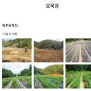 황금농장 이미지