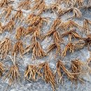 종근목장 이미지