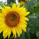 지역사회복지론 이미지