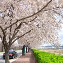 낙동강변로3-1 이미지