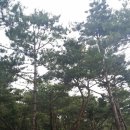 낙성대 둘레길 화장실 이미지