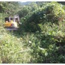 은덕농장 이미지