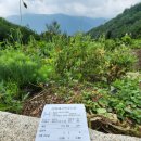 (주)서대 이미지