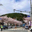 통영중학교 | 통영 봉숫골 축제, 용화사 올레손칼국수 솔직 후기