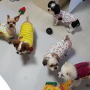 무지개 삼촌