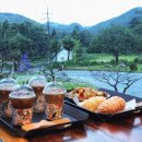 빌리지 736-1 이미지