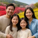 고창노을주유소 | 5월 연휴 꼭 가야할 전국 축제 9선｜봄꽃·먹거리 여행 총정리