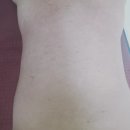 세신카렌다 네이버블로그