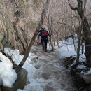 만물대장 이미지