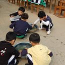 솔밭초교 병설유치원 이미지