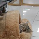 신신문구