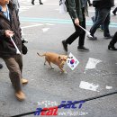 동사무소 앞 이미지
