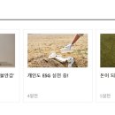 (주)쎄니트