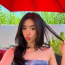 소피아(sophia)