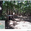 중앙공원 산책로 이미지