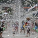 탐진강변 일원 이미지