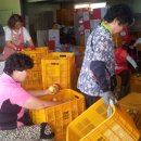 김영선농장 이미지