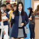 볼빅고양 이미지