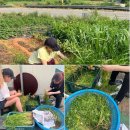 마을농장 이미지