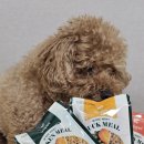 와즈펫(wispet) 이미지