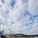 대금공인중개사사무소 이미지