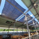 구성축산2 이미지