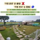 전주강아지분양 미니퍼피 가정견사 직영 이미지