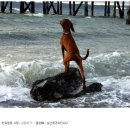 폼잡는개