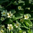 푸른민박 이미지