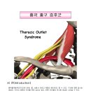 Thoracic Outlet Syndrome(번역) 이미지