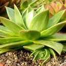 꿈의궁전 이미지