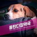 동탄중앙약국 이미지