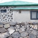 금능124 이미지