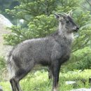 산양2리 이미지