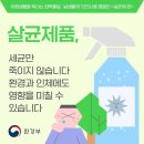 벌통을 옮기려면 이미지